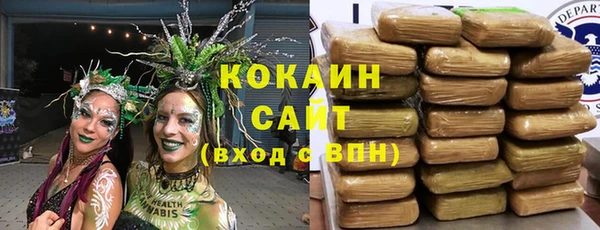сатива Абаза